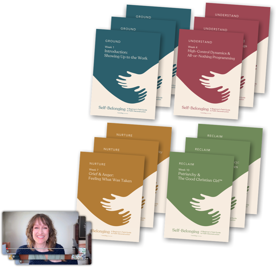 The twelve Self-Belonging weekly workbooks and coaching videos, grouped by movement