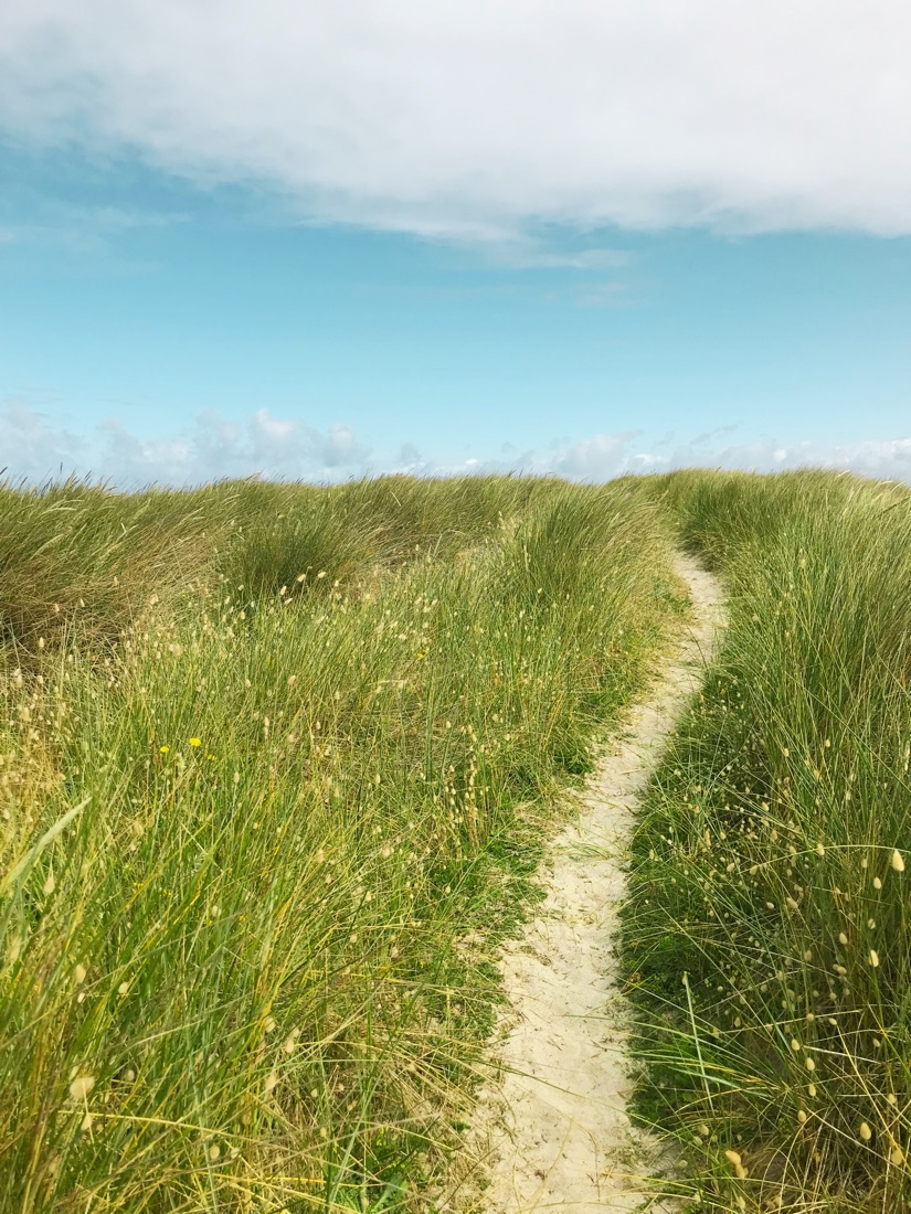 A sandy path winding up through tall dune grass under a wide blue sky